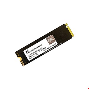 حافظه اس اس دی اینترنال فدک مدل B5 M.2 2280 NVMe ظرفیت 256 گیگابایت